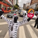 斑马指挥交通可不是闹着玩的。这是玻利维亚拉巴斯市数百名拯救生命的城市员工之一，他们使拉巴斯的街道对行人更友好。图片来源:oneillinstituteblog.org