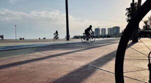 使用自行车作为城市生活质量指标