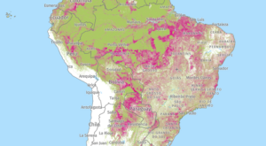 在巴西地图树木覆盖损失