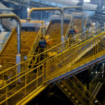 巴西的乙醇生产厂。图片来源:壳。