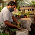 Rosario, Argentina Uses Urban Farming to Tackle Economic and Climate Crises